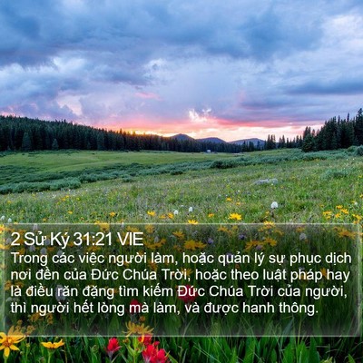 2 Sử Ký 31:21 VIE Bible Verse Image