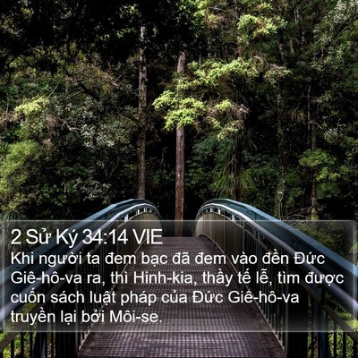 2 Sử Ký 34:14 VIE Bible Verse Image