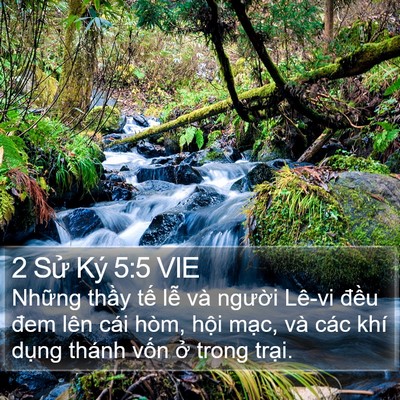 2 Sử Ký 5:5 VIE Bible Verse Image