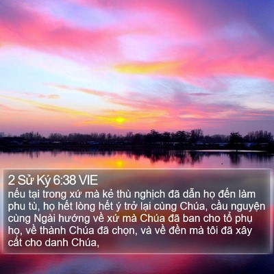 2 Sử Ký 6:38 VIE Bible Verse Image
