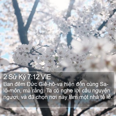 2 Sử Ký 7:12 VIE Bible Verse Image