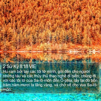 2 Sử Ký 8:18 VIE Bible Verse Image
