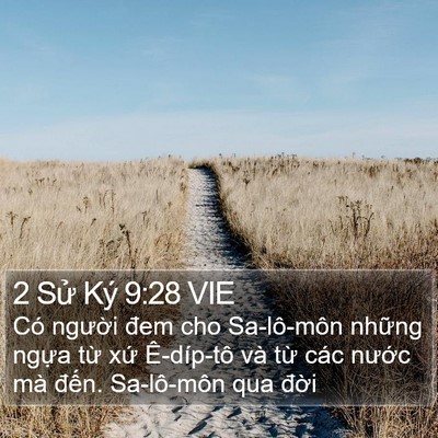 2 Sử Ký 9:28 VIE Bible Verse Image