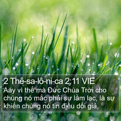 2 Thê-sa-lô-ni-ca 2:11 VIE Bible Verse Image