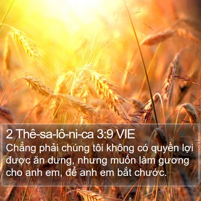 2 Thê-sa-lô-ni-ca 3:9 VIE Bible Verse Image