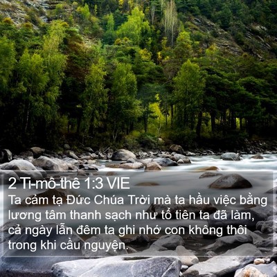 2 Ti-mô-thê 1:3 VIE Bible Verse Image
