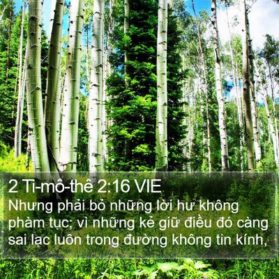 2 Ti-mô-thê 2:16 VIE Bible Verse Image