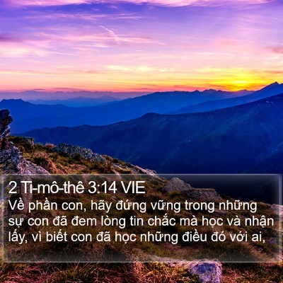 2 Ti-mô-thê 3:14 VIE Bible Verse Image
