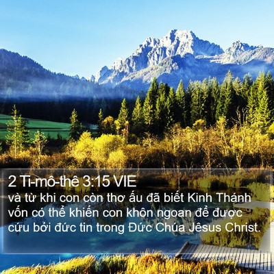 2 Ti-mô-thê 3:15 VIE Bible Verse Image
