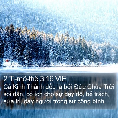 2 Ti-mô-thê 3:16 VIE Bible Verse Image