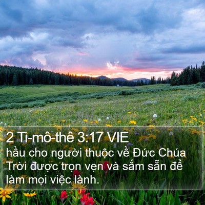 2 Ti-mô-thê 3:17 VIE Bible Verse Image