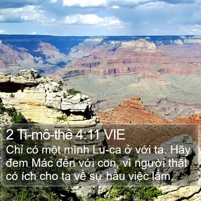 2 Ti-mô-thê 4:11 VIE Bible Verse Image