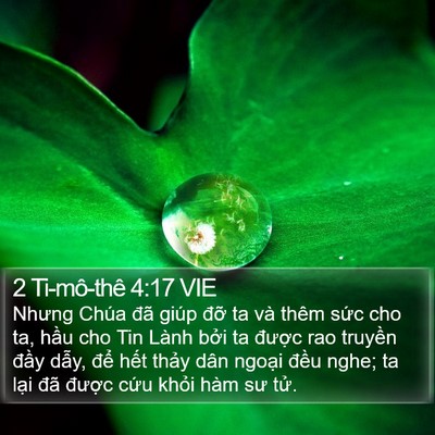 2 Ti-mô-thê 4:17 VIE Bible Verse Image