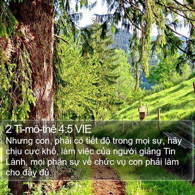 2 Ti-mô-thê 4:5 VIE Bible Verse Image