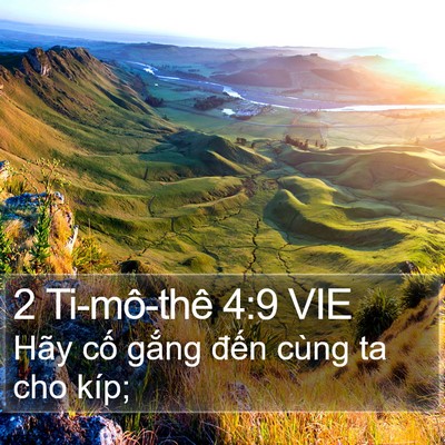 2 Ti-mô-thê 4:9 VIE Bible Verse Image