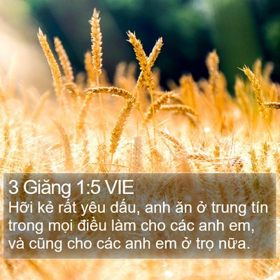 3 Giăng 1:5 VIE Bible Verse Image