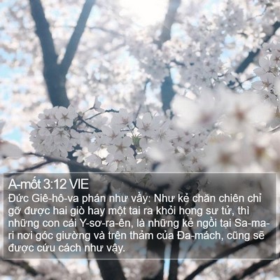 A-mốt 3:12 VIE Bible Verse Image