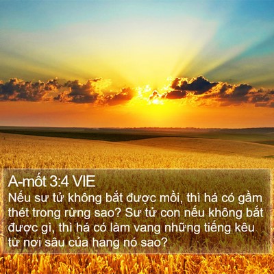A-mốt 3:4 VIE Bible Verse Image