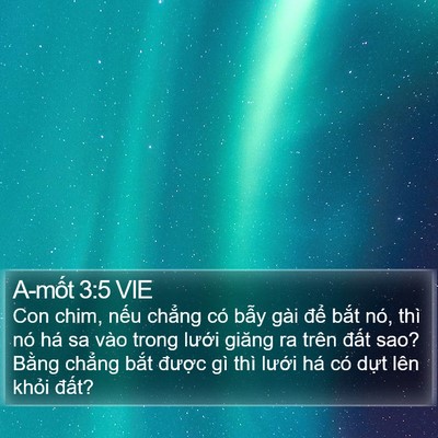 A-mốt 3:5 VIE Bible Verse Image