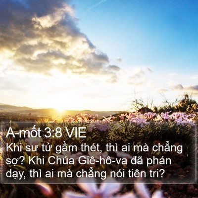 A-mốt 3:8 VIE Bible Verse Image