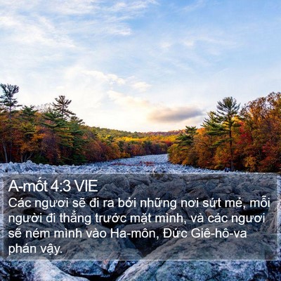 A-mốt 4:3 VIE Bible Verse Image