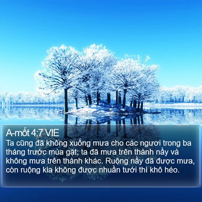 A-mốt 4:7 VIE Bible Verse Image