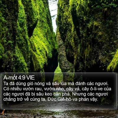 A-mốt 4:9 VIE Bible Verse Image