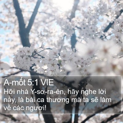 A-mốt 5:1 VIE Bible Verse Image