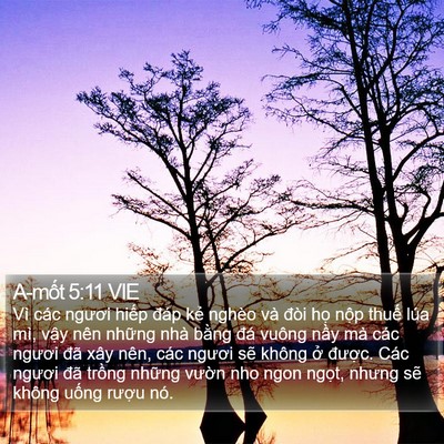 A-mốt 5:11 VIE Bible Verse Image