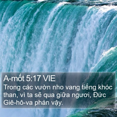A-mốt 5:17 VIE Bible Verse Image