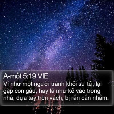 A-mốt 5:19 VIE Bible Verse Image