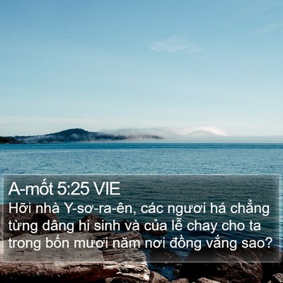 A-mốt 5:25 VIE Bible Verse Image