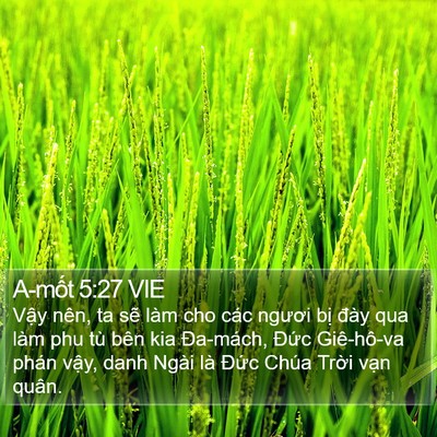 A-mốt 5:27 VIE Bible Verse Image
