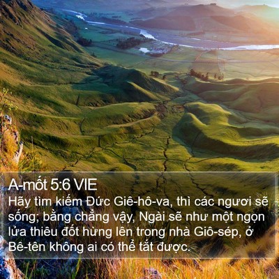 A-mốt 5:6 VIE Bible Verse Image