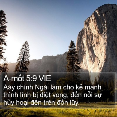 A-mốt 5:9 VIE Bible Verse Image
