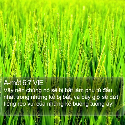 A-mốt 6:7 VIE Bible Verse Image
