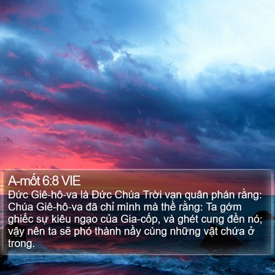 A-mốt 6:8 VIE Bible Verse Image