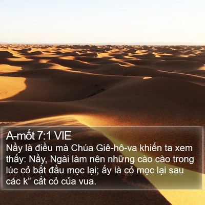 A-mốt 7:1 VIE Bible Verse Image