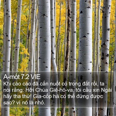 A-mốt 7:2 VIE Bible Verse Image