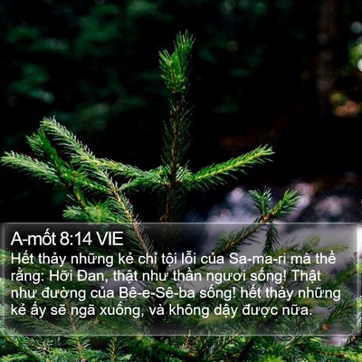 A-mốt 8:14 VIE Bible Verse Image