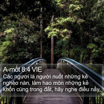 A-mốt 8:4 VIE Bible Verse Image
