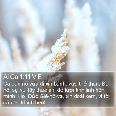 Ai Ca 1:11 VIE Bible Verse Image