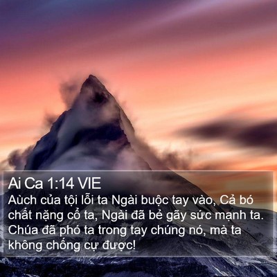 Ai Ca 1:14 VIE Bible Verse Image
