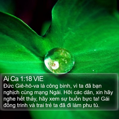 Ai Ca 1:18 VIE Bible Verse Image