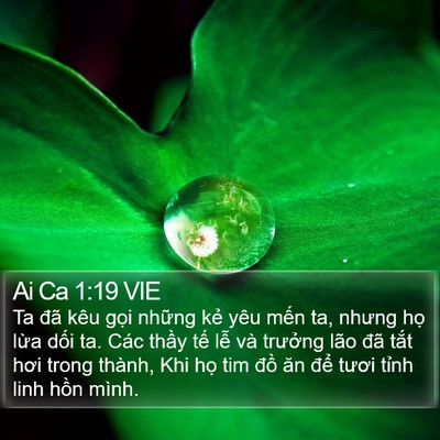 Ai Ca 1:19 VIE Bible Verse Image