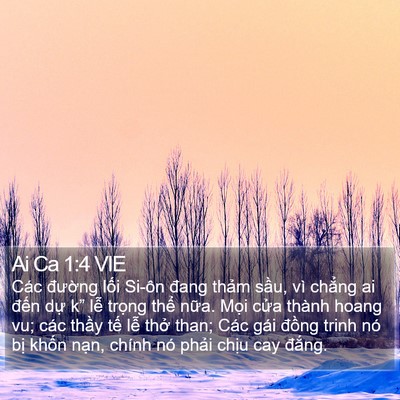 Ai Ca 1:4 VIE Bible Verse Image