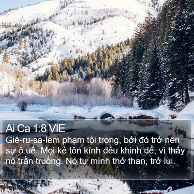 Ai Ca 1:8 VIE Bible Verse Image