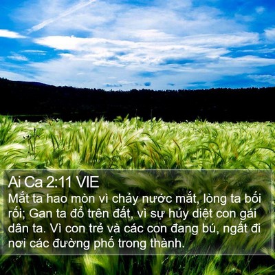 Ai Ca 2:11 VIE Bible Verse Image