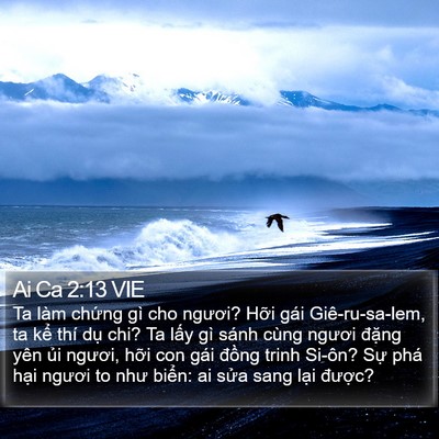 Ai Ca 2:13 VIE Bible Verse Image