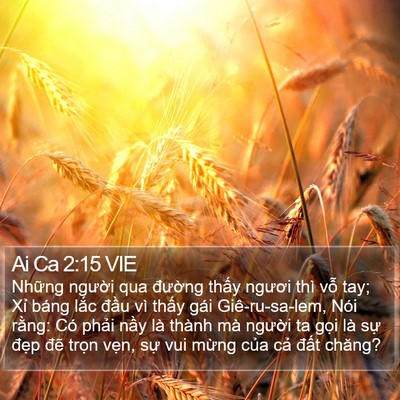 Ai Ca 2:15 VIE Bible Verse Image